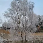 Czarnydomek