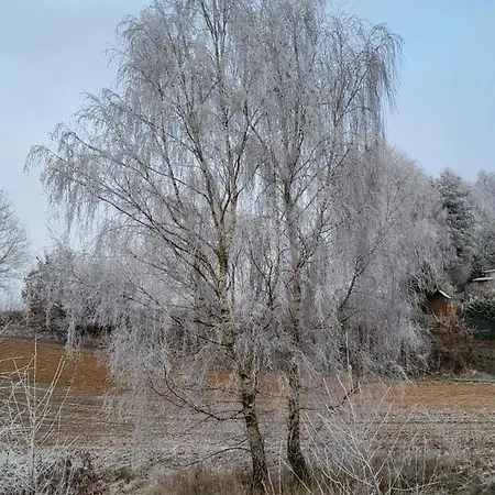 Czarnydomek