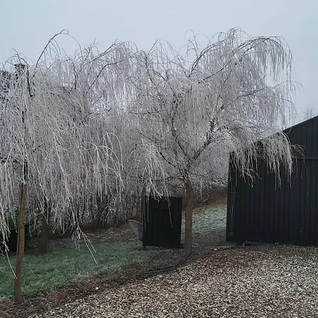 Czarnydomek Tatil Evi