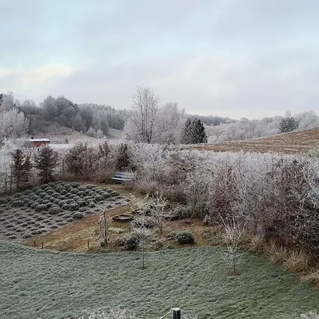 Czarnydomek Tatil Evi *