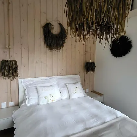 Tatil Evi Czarnydomek Gromadzin